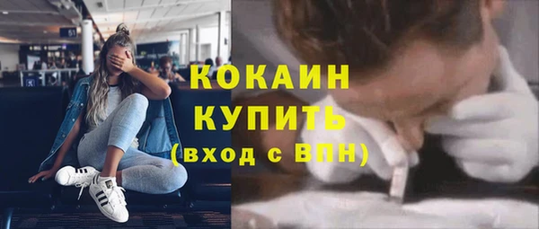 стаф Дмитриев