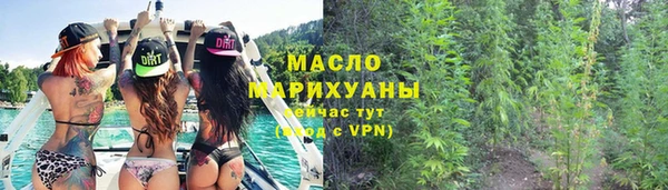 стаф Дмитриев