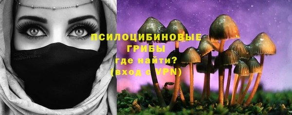 ALPHA PVP Гусиноозёрск