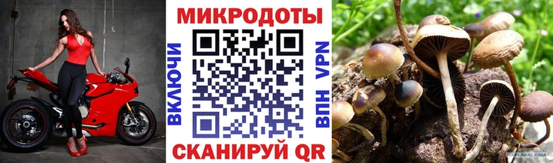 Псилоцибиновые грибы мицелий  наркота  Нефтеюганск 